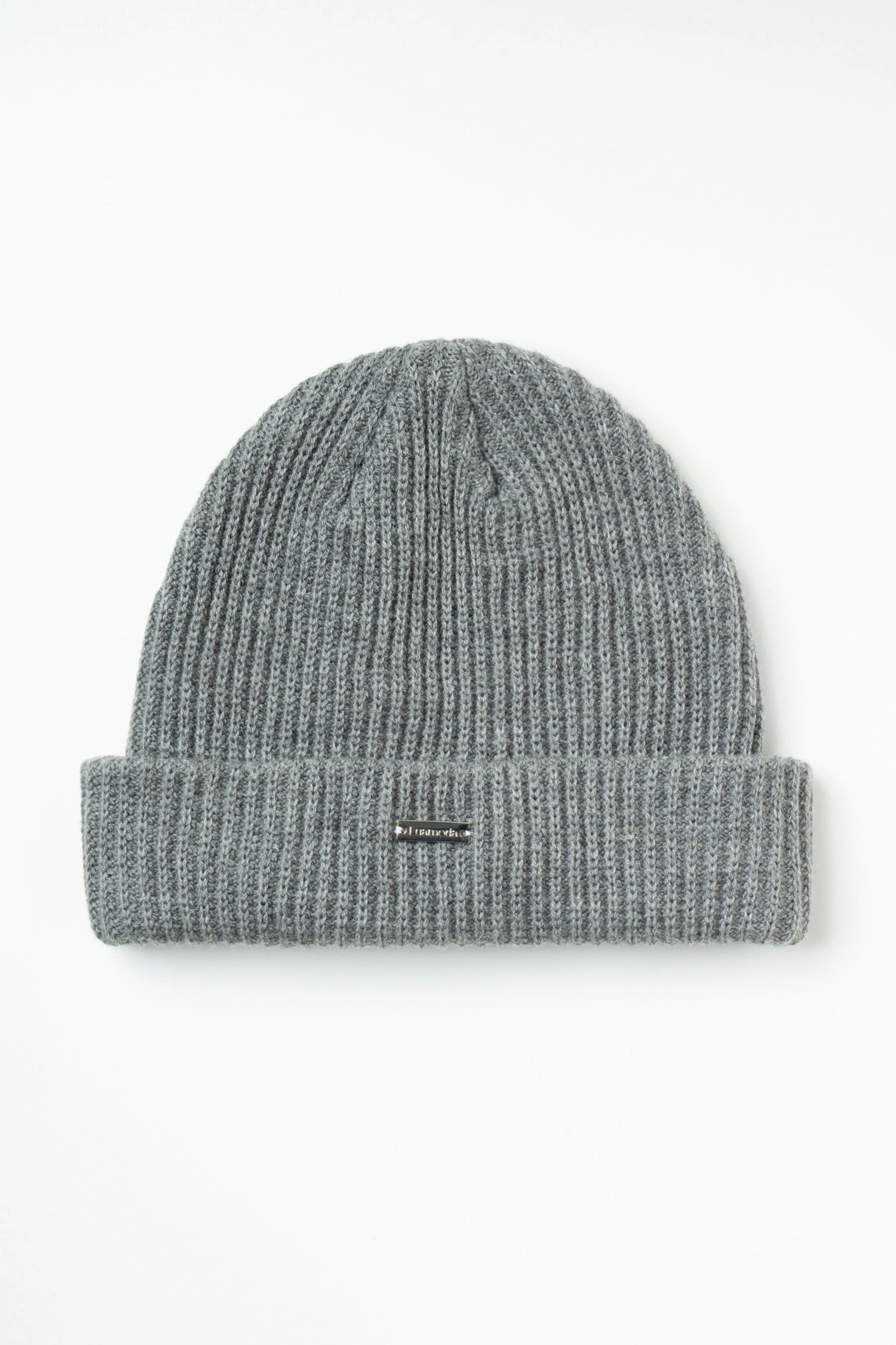 Logo Beanie (GRAY)